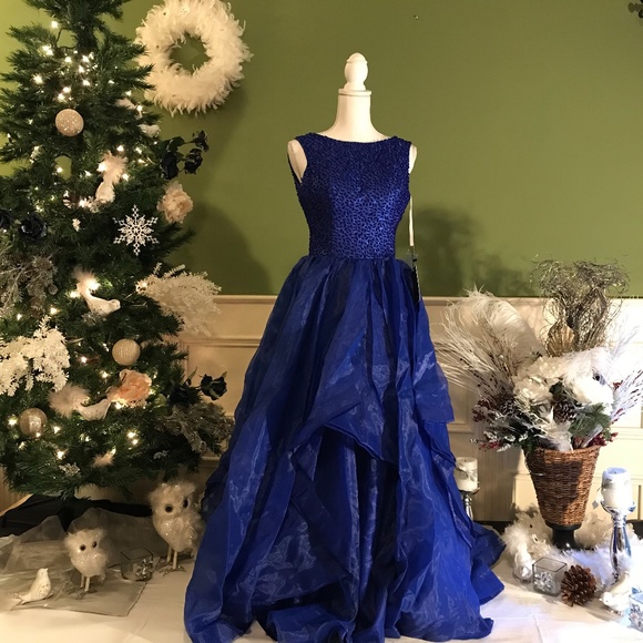 Dresses & Skirts - Formal evening Ball gown dress